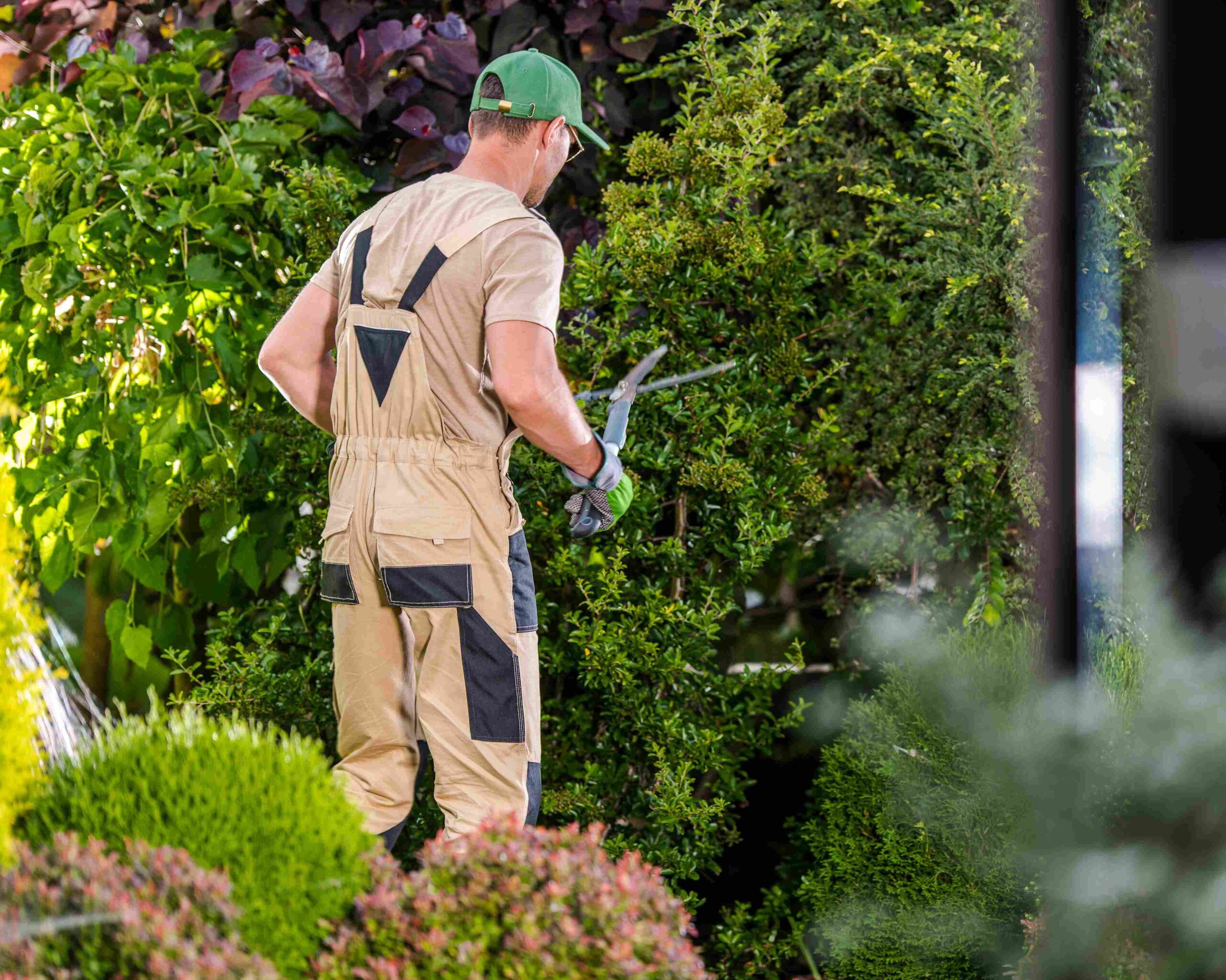 Entretien des espaces verts