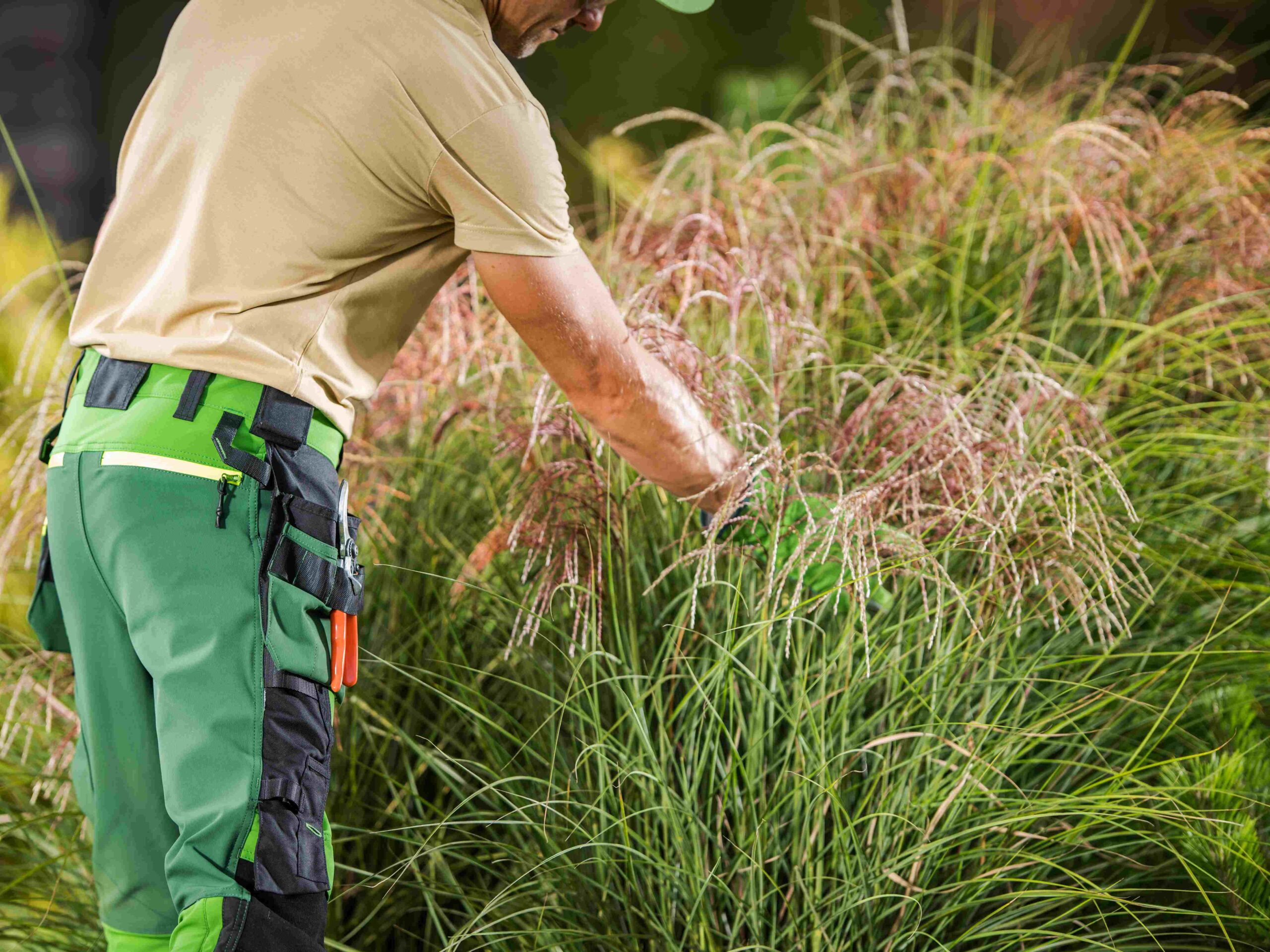 Entretien des Espaces Verts